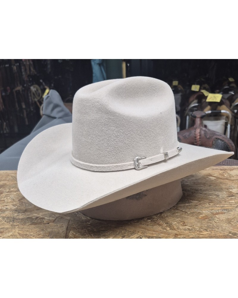 CHAPEAU PAILLE FEUTRE CUIR COWBOY RANCH EQUITATION WESTERN COUNTRY