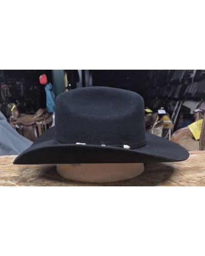CHAPEAU PAILLE FEUTRE CUIR COWBOY RANCH EQUITATION WESTERN COUNTRY
