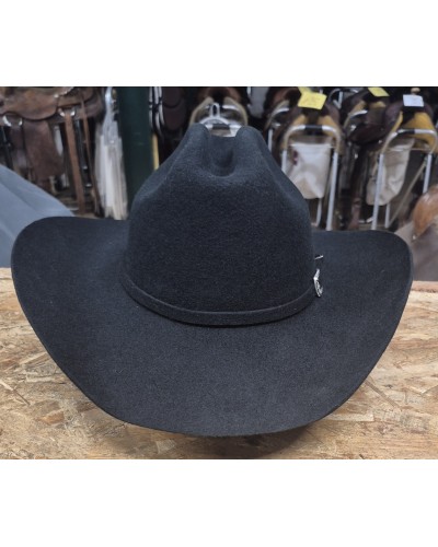 CHAPEAU PAILLE FEUTRE CUIR COWBOY RANCH EQUITATION WESTERN COUNTRY