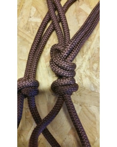 Licol Ethologique+Longe Nylon