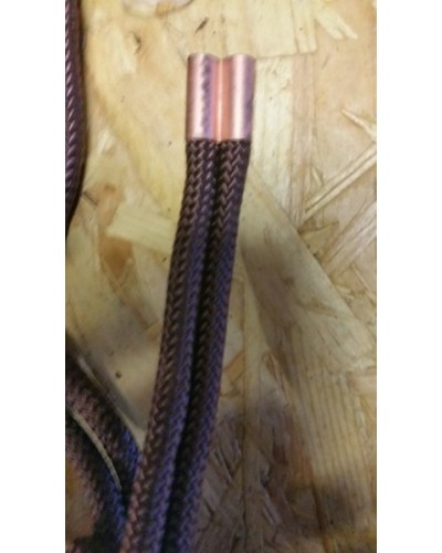 Licol Ethologique+Longe Nylon