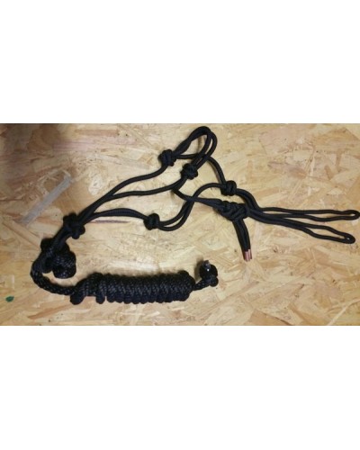 Licol Ethologique+Longe Nylon