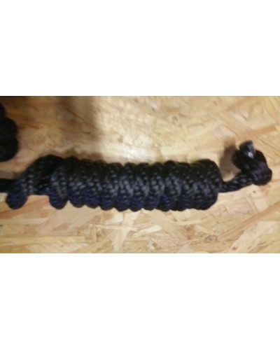 Licol Ethologique+Longe Nylon