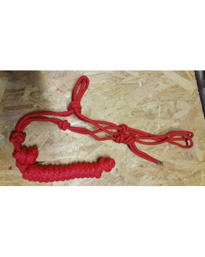 Licol Ethologique+Longe Nylon