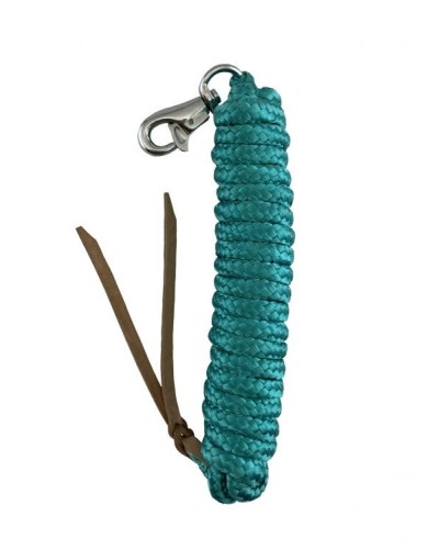 LONGE WESTERN AMERICAINE NYLON USA CHEVAL COULEUR HORSEMANSHIP ETHOLOGIQUE