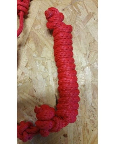 Licol Ethologique+Longe Nylon