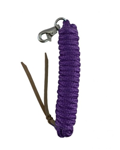 LONGE WESTERN AMERICAINE NYLON USA CHEVAL COULEUR HORSEMANSHIP ETHOLOGIQUE