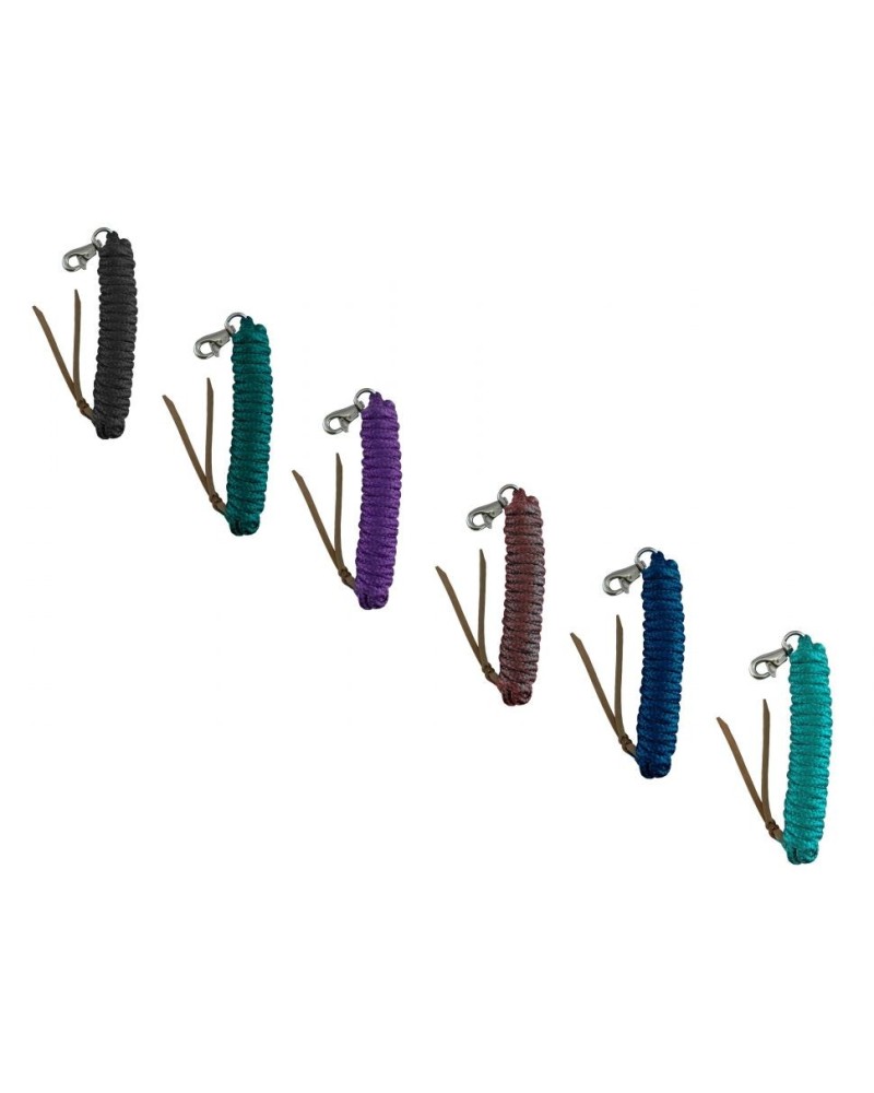 LONGE WESTERN AMERICAINE NYLON USA CHEVAL COULEUR HORSEMANSHIP ETHOLOGIQUE