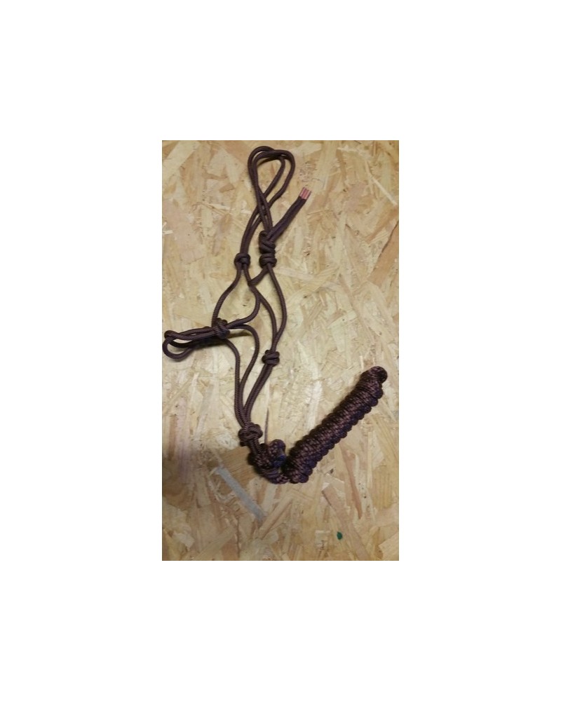 Licol Ethologique+Longe Nylon