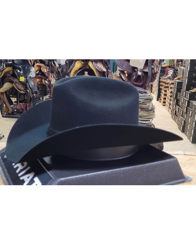 CHAPEAU PAILLE FEUTRE CUIR COWBOY RANCH EQUITATION WESTERN COUNTRY