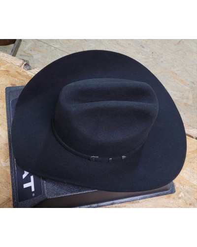 CHAPEAU PAILLE FEUTRE CUIR COWBOY RANCH EQUITATION WESTERN COUNTRY
