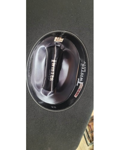 CHAPEAU PAILLE FEUTRE CUIR COWBOY RANCH EQUITATION WESTERN COUNTRY