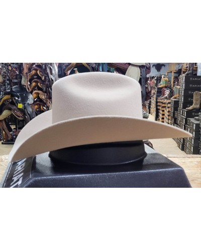 CHAPEAU PAILLE FEUTRE CUIR COWBOY RANCH EQUITATION WESTERN COUNTRY