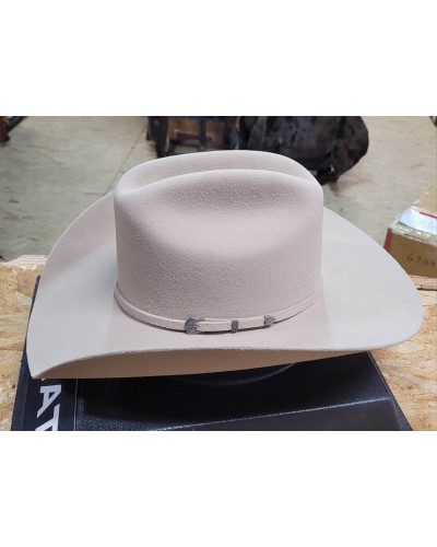 CHAPEAU PAILLE FEUTRE CUIR COWBOY RANCH EQUITATION WESTERN COUNTRY