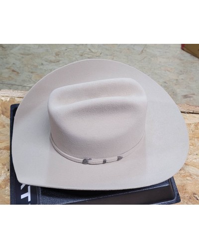 CHAPEAU PAILLE FEUTRE CUIR COWBOY RANCH EQUITATION WESTERN COUNTRY