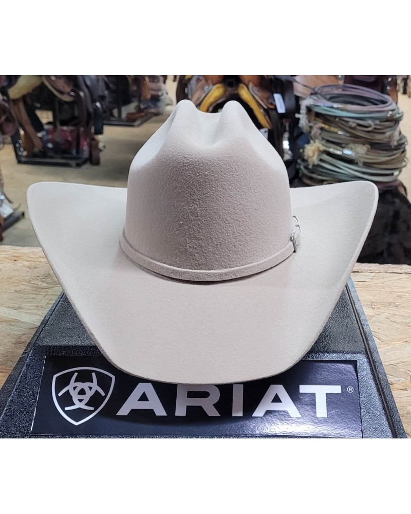 CHAPEAU PAILLE FEUTRE CUIR COWBOY RANCH EQUITATION WESTERN COUNTRY