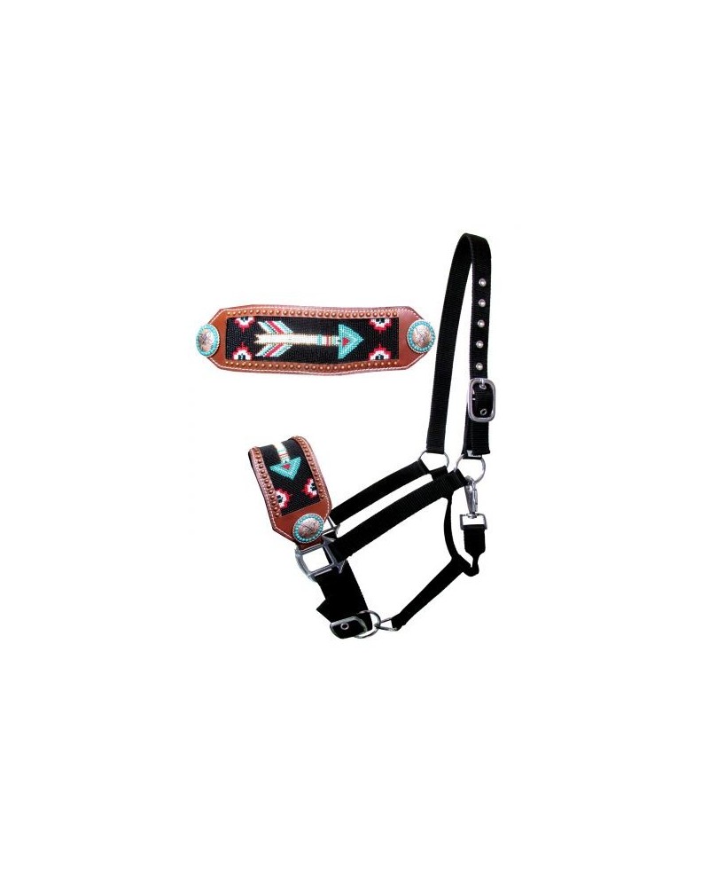 LICOL ETHOLOGIQUE TRAVAIL CORDE LONGE HORSEMANSHIP