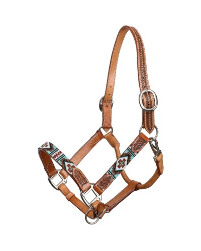 LICOL ETHOLOGIQUE TRAVAIL CORDE LONGE HORSEMANSHIP