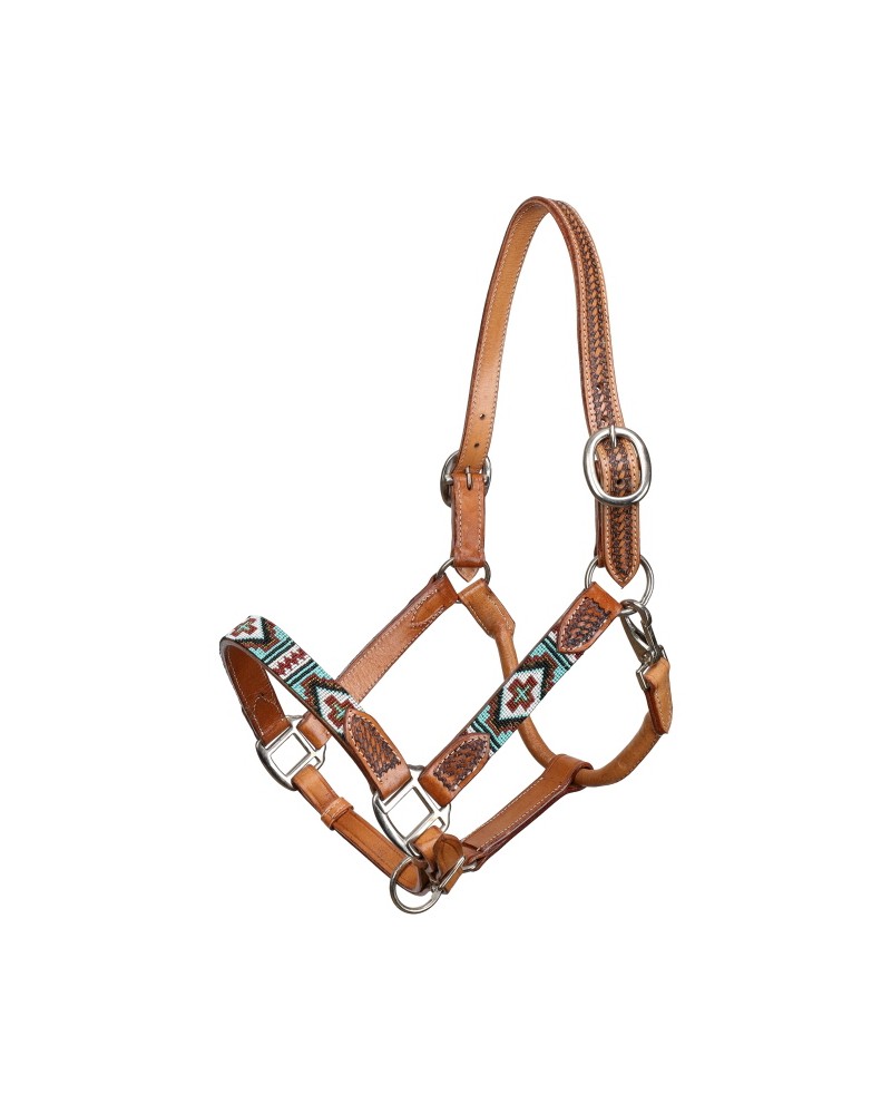 LICOL ETHOLOGIQUE TRAVAIL CORDE LONGE HORSEMANSHIP