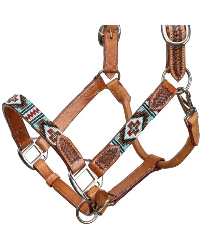 LICOL ETHOLOGIQUE TRAVAIL CORDE LONGE HORSEMANSHIP
