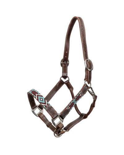 LICOL ETHOLOGIQUE TRAVAIL CORDE LONGE HORSEMANSHIP