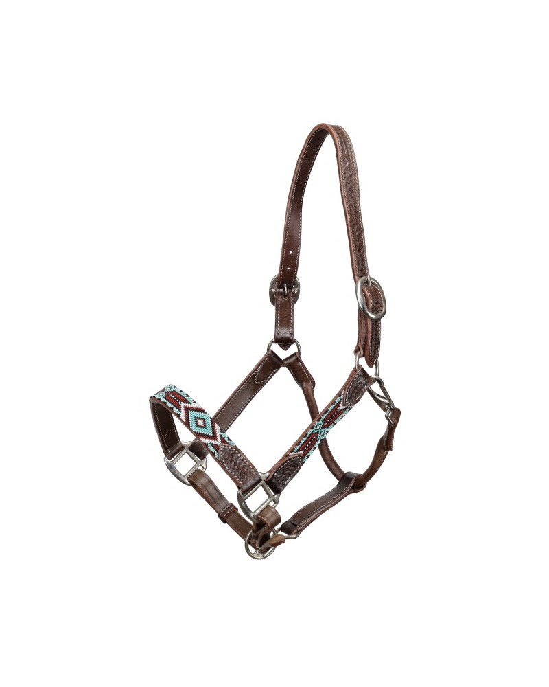 LICOL ETHOLOGIQUE TRAVAIL CORDE LONGE HORSEMANSHIP