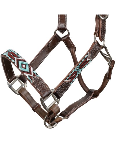 LICOL ETHOLOGIQUE TRAVAIL CORDE LONGE HORSEMANSHIP