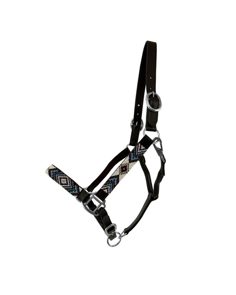 LICOL ETHOLOGIQUE TRAVAIL CORDE LONGE HORSEMANSHIP