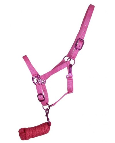 LICOL ETHOLOGIQUE TRAVAIL CORDE LONGE HORSEMANSHIP