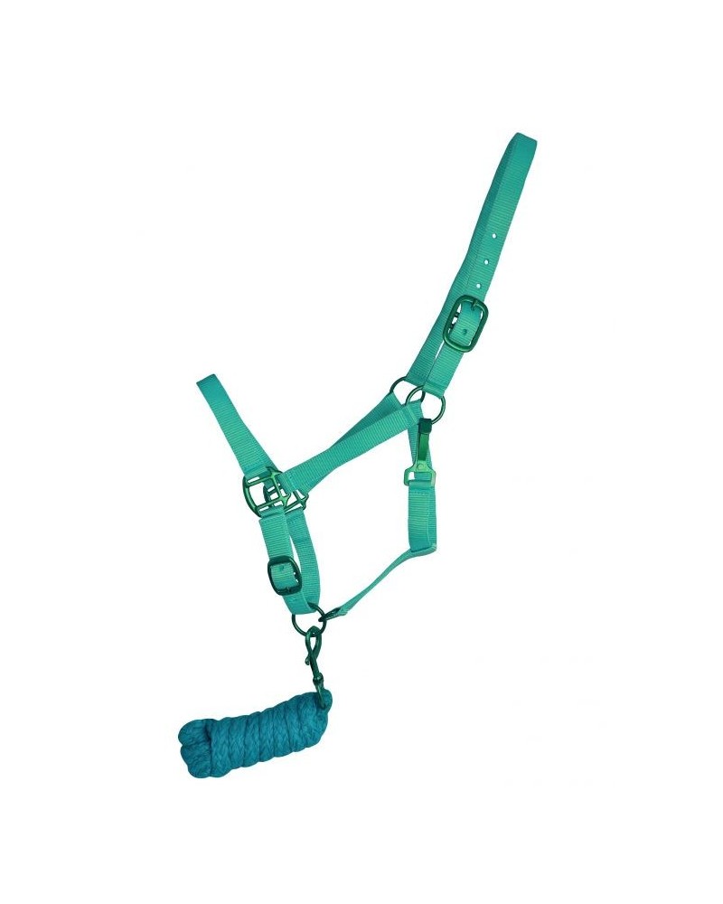 LICOL ETHOLOGIQUE TRAVAIL CORDE LONGE HORSEMANSHIP