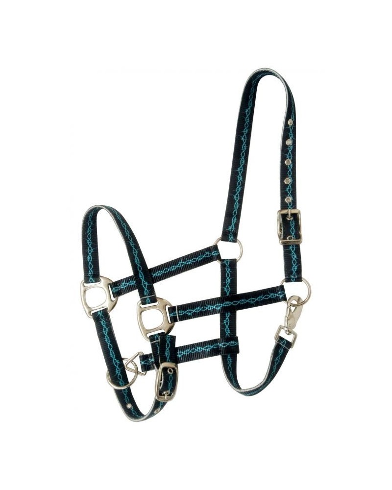 LICOL ETHOLOGIQUE TRAVAIL CORDE LONGE HORSEMANSHIP