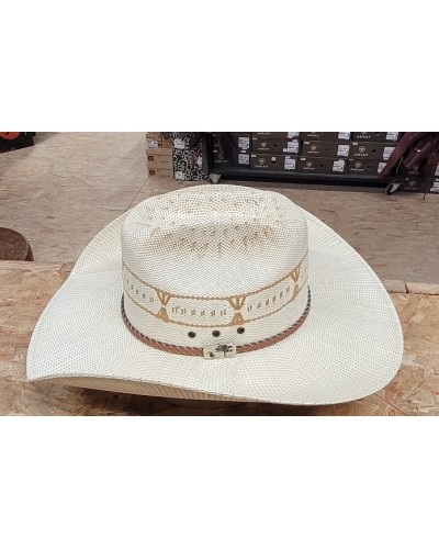 CHAPEAU PAILLE FEUTRE CUIR COWBOY RANCH EQUITATION WESTERN COUNTRY
