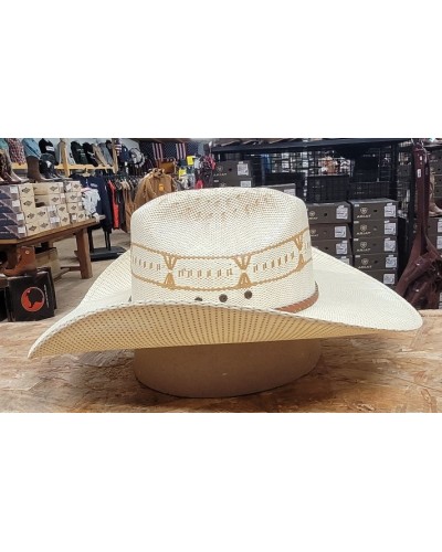 CHAPEAU PAILLE FEUTRE CUIR COWBOY RANCH EQUITATION WESTERN COUNTRY