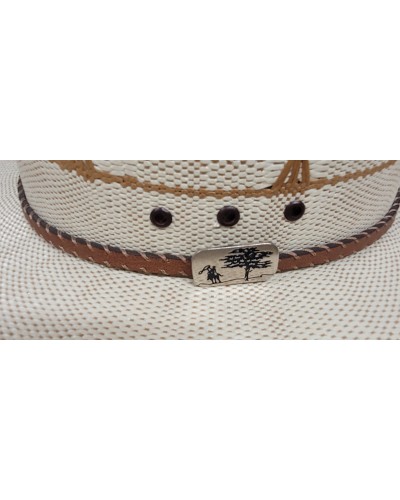CHAPEAU PAILLE FEUTRE CUIR COWBOY RANCH EQUITATION WESTERN COUNTRY