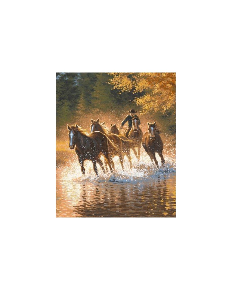 DECORATION WESTERN RANCH EQUITAION DESIGN