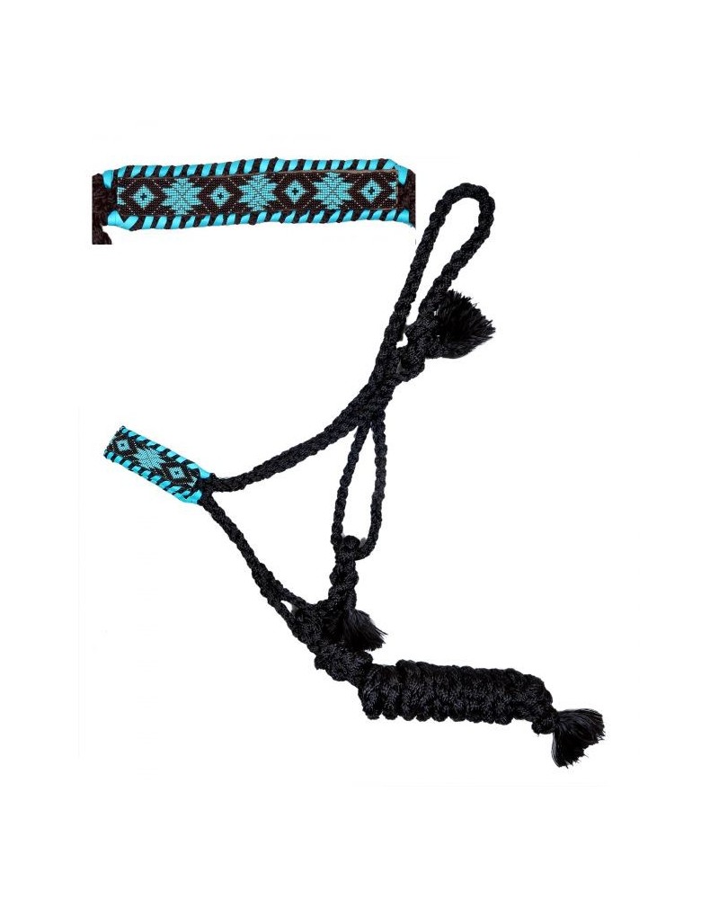 LICOL ETHOLOGIQUE TRAVAIL CORDE LONGE HORSEMANSHIP