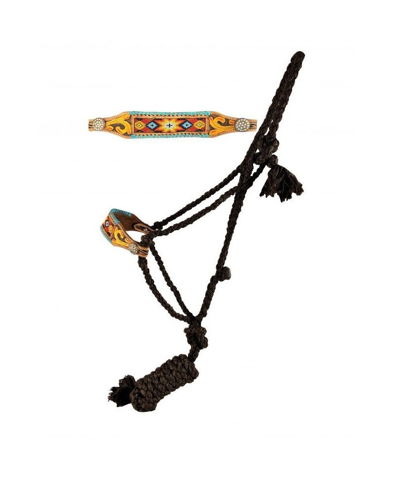 LICOL ETHOLOGIQUE TRAVAIL CORDE LONGE HORSEMANSHIP