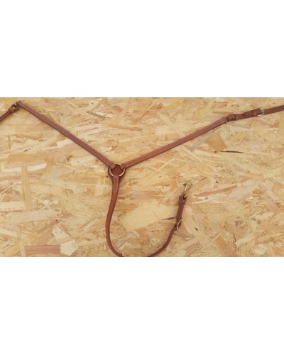 COLLIER DE CHASSE HW2905 FDS