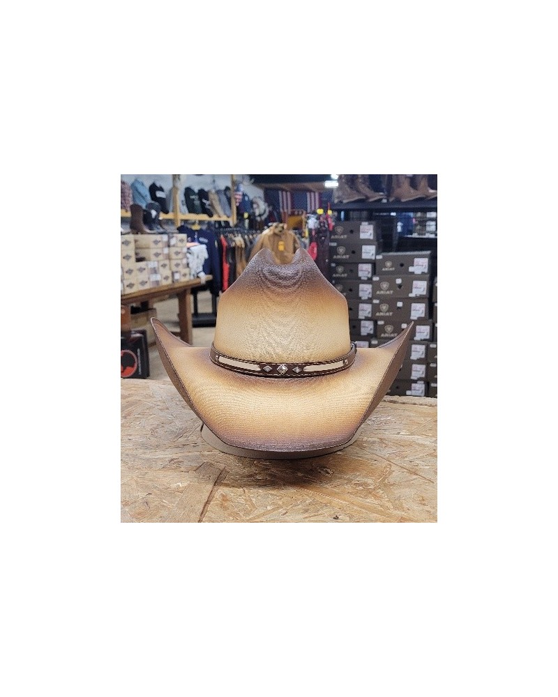 CHAPEAU WESTERN FEUTRE PAILLE EQUITATION TRAVAIL MEXIQUE US COUNTRY