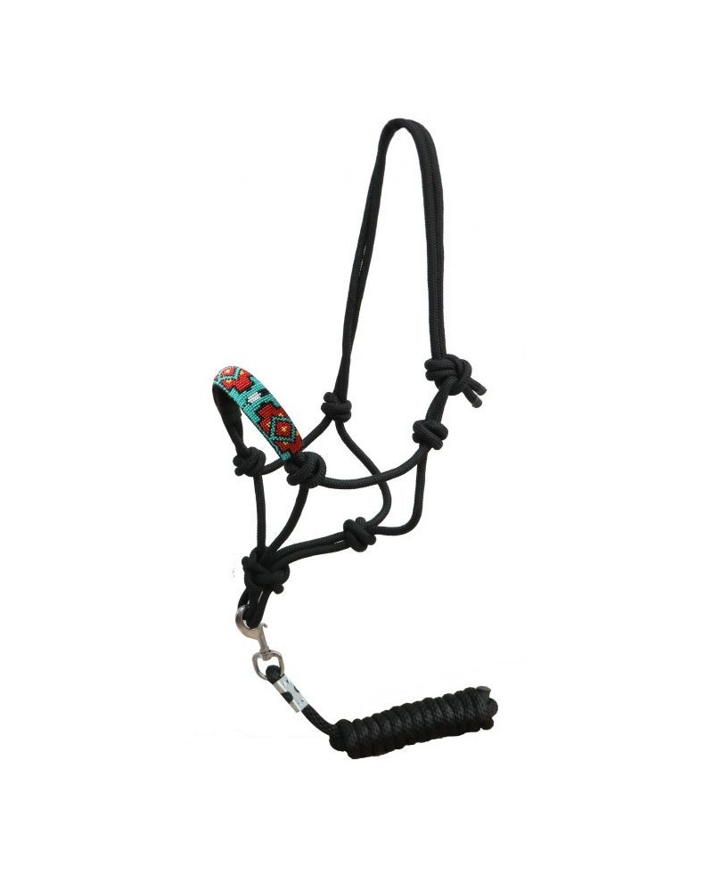 LICOL ETHOLOGIQUE TRAVAIL CORDE LONGE HORSEMANSHIP