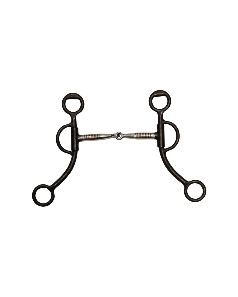 mors western baby correctional pools metalab equitation travail