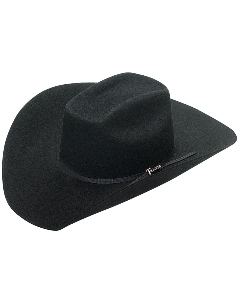 CHAPEAU PAILLE FEUTRE CUIR COWBOY RANCH EQUITATION WESTERN COUNTRY