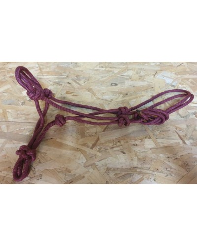 Licol Etho HWEST  RP