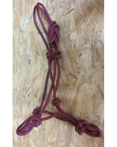 Licol Etho HWEST  RP