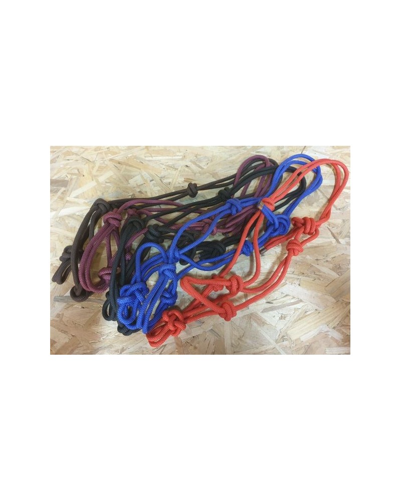 Licol Etho HWEST  RP